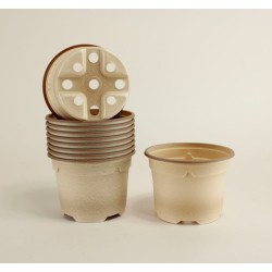 Pots ronds Ø10.5 cm (x10) - BIOCOMPOSTABLE