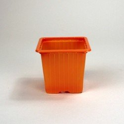 Godets 7x7x6.4 (x30) - orange