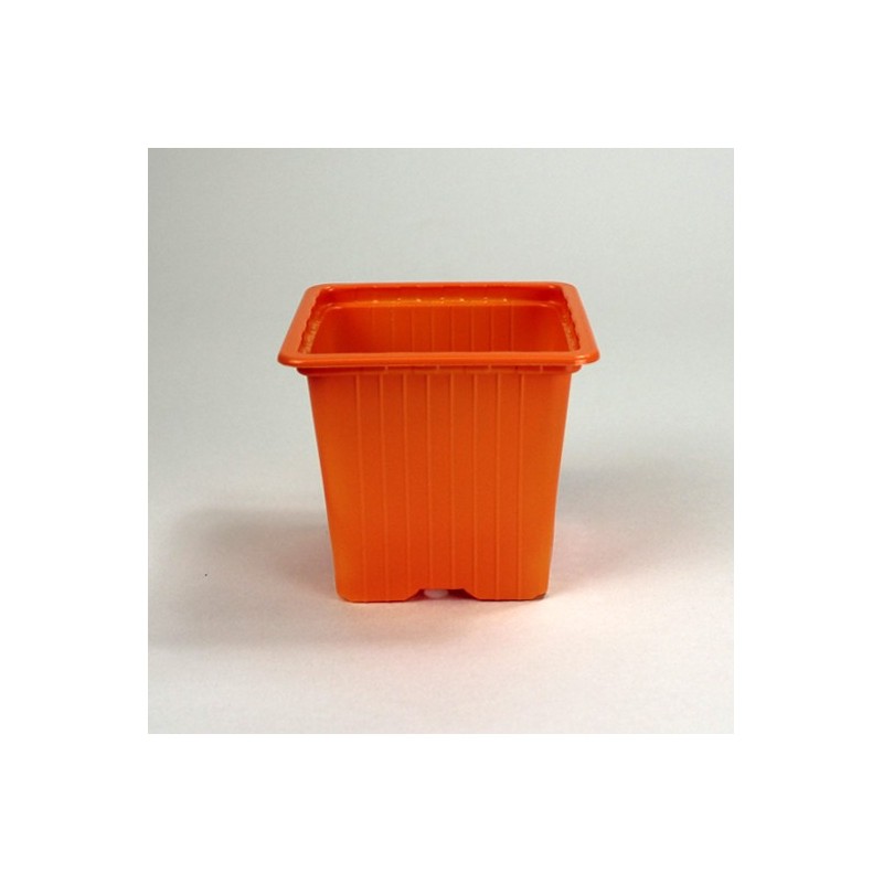Godets 8x8x7 (x30) - orange
