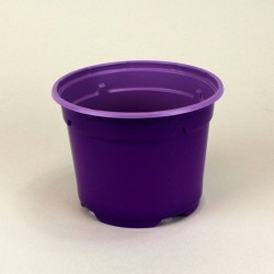 Pots ronds Ø10.5 cm (x20) - violet