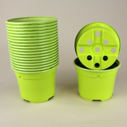 Pots ronds Ø10.5 cm (x20) - vert bambou