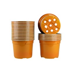 Pots ronds Ø12 cm (x20) - orange
