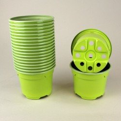 Pots ronds Ø9 cm (x20) - vert bambou